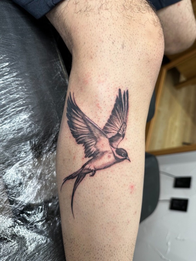 Tatuagem Andorinha feita por Leonardo Fonseca em São Luís – MA