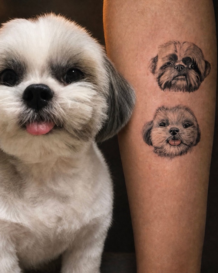 Tatuagem Shih-tzus II em minirrealismo, pet, feita por Leonardo Fonseca em São Luís – MA
