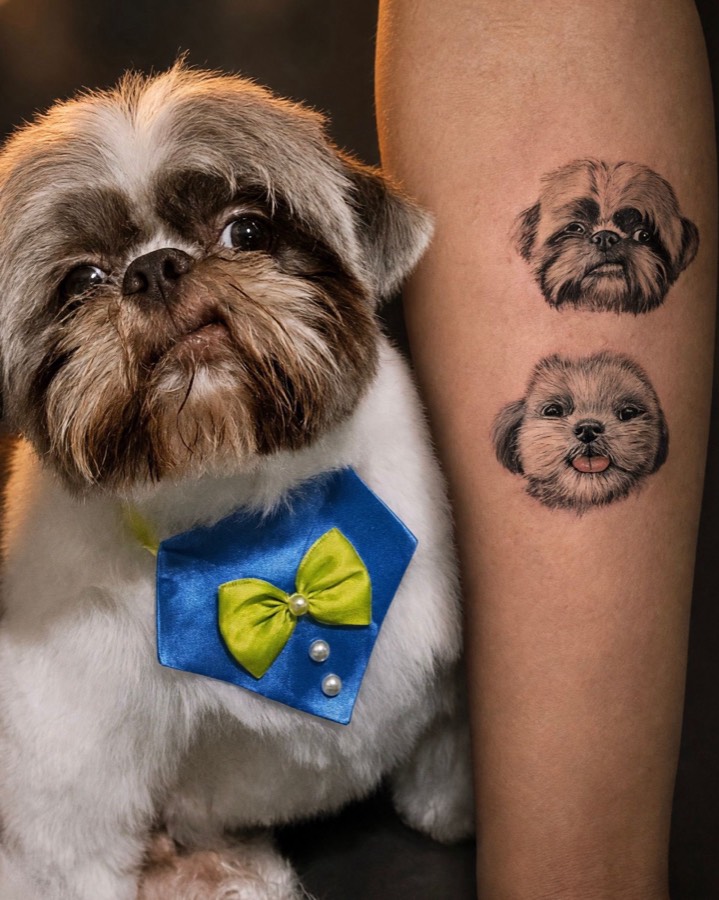 Tatuagem Shih-tzus em minirrealismo, pet, feita por Leonardo Fonseca em São Luís – MA